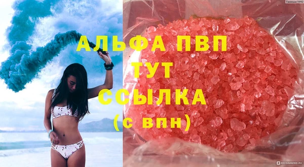 PSILOCYBIN Ладушкин