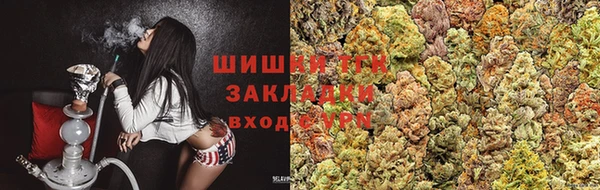PSILOCYBIN Ладушкин