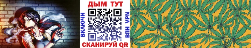 Бошки Шишки план  Называевск 